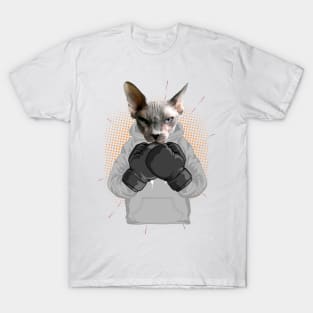 Boxing | Sphynx cat T-Shirt